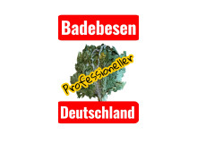 Badebesen mit Lieferung nach Deutschland — direkt aus der Ukraine!